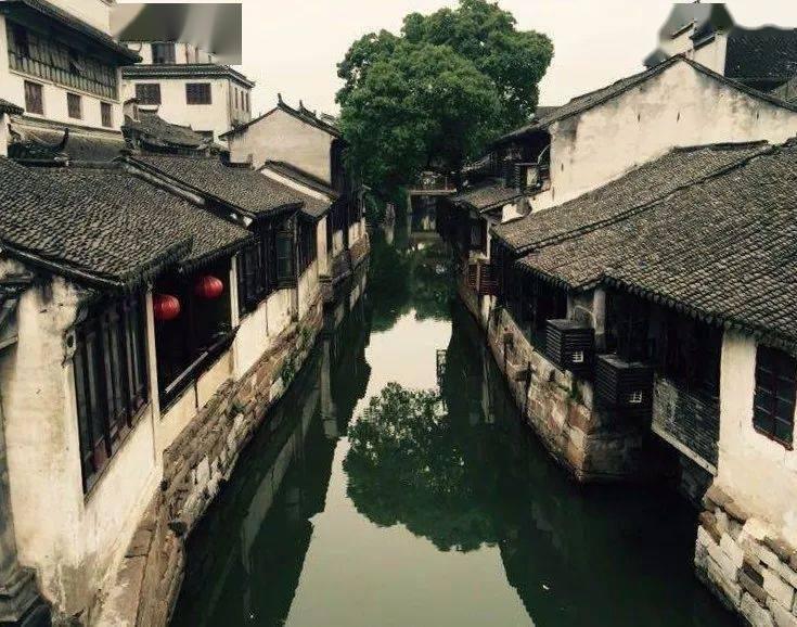 黑龙江鹤岗“派”丹顶鹤去哈尔滨展演被处罚，省林草局：未经行政许可